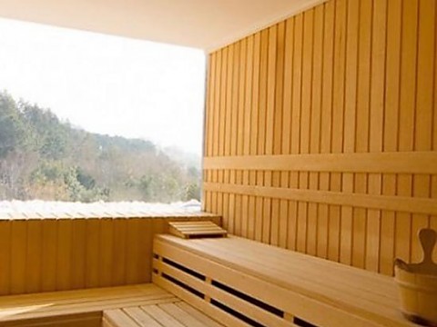 Custom saunas